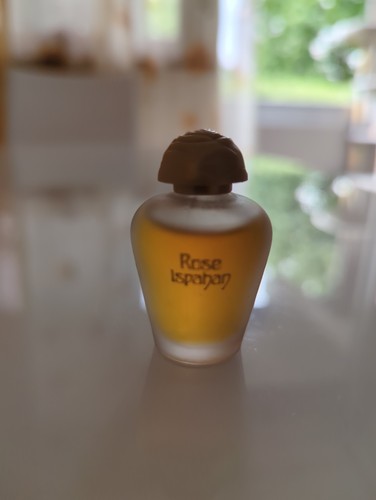 Rose ispahan yves - •, rocher